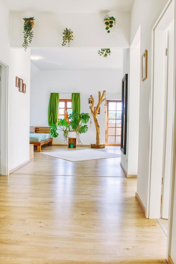 Luxus Apartment! Kueche, Balkon, Netflix, Parkplatz - 8 Personen Ilmmunster المظهر الخارجي الصورة